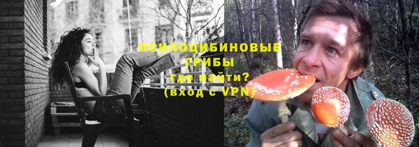гашиш Горнозаводск