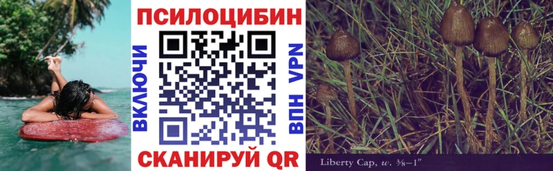 где продают наркотики Порхов Псилоцибиновые грибы мицелий