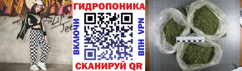 цены   Порхов  Бошки марихуана ГИДРОПОН 